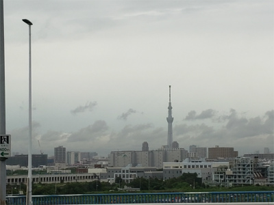 201910892417.jpg