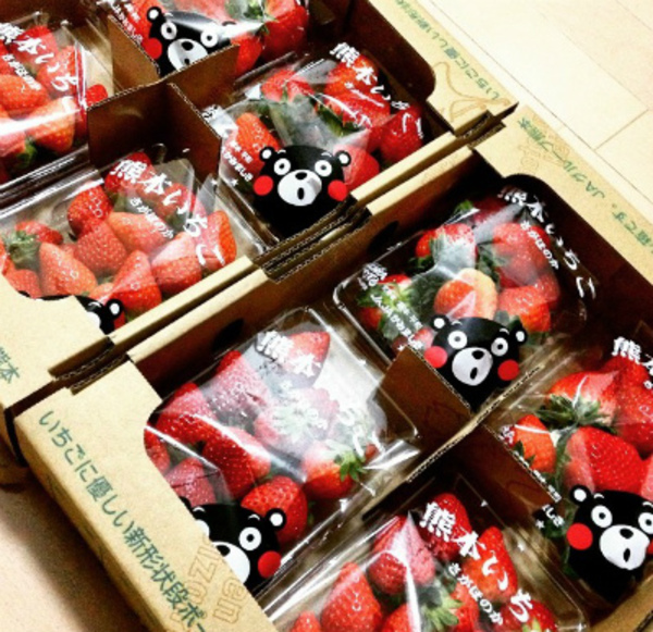 京都のエアコン会社への頂き物♪エアコン取付・取外・入替は京都のデヴァシオン！